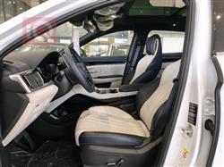 بي واي دي سونغ بلس